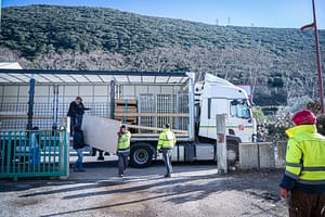 230118_Recylerie_Mezzanine_web-2